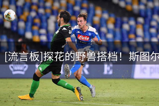 [流言板]探花的野兽搭档！斯图尔特Ins晒个人训练照与球迷分享